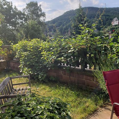 Panorama-Blick Miltenberg, 3 Pers., Zentr., Am Main, Terrasse, Bootverleih, P Eksteriør bilde