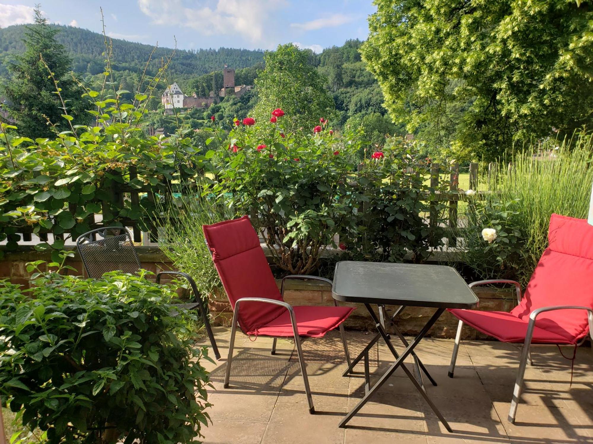 Panorama-Blick Miltenberg, 3 Pers., Zentr., Am Main, Terrasse, Bootverleih, P Eksteriør bilde