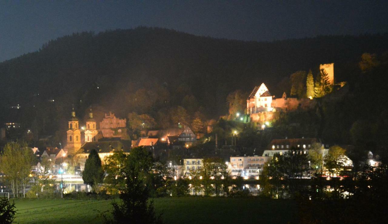 Panorama-Blick Miltenberg, 3 Pers., Zentr., Am Main, Terrasse, Bootverleih, P Eksteriør bilde
