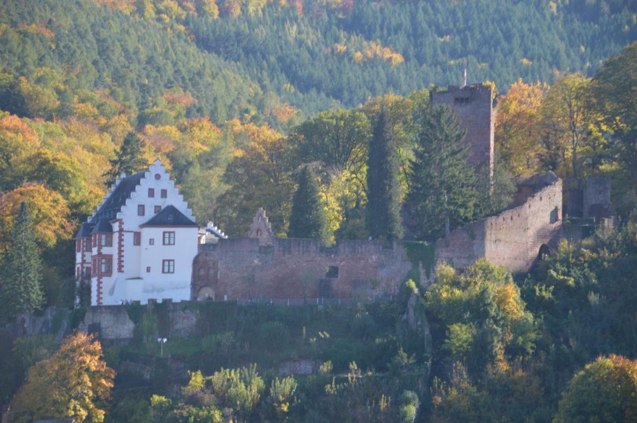 Panorama-Blick Miltenberg, 3 Pers., Zentr., Am Main, Terrasse, Bootverleih, P Eksteriør bilde