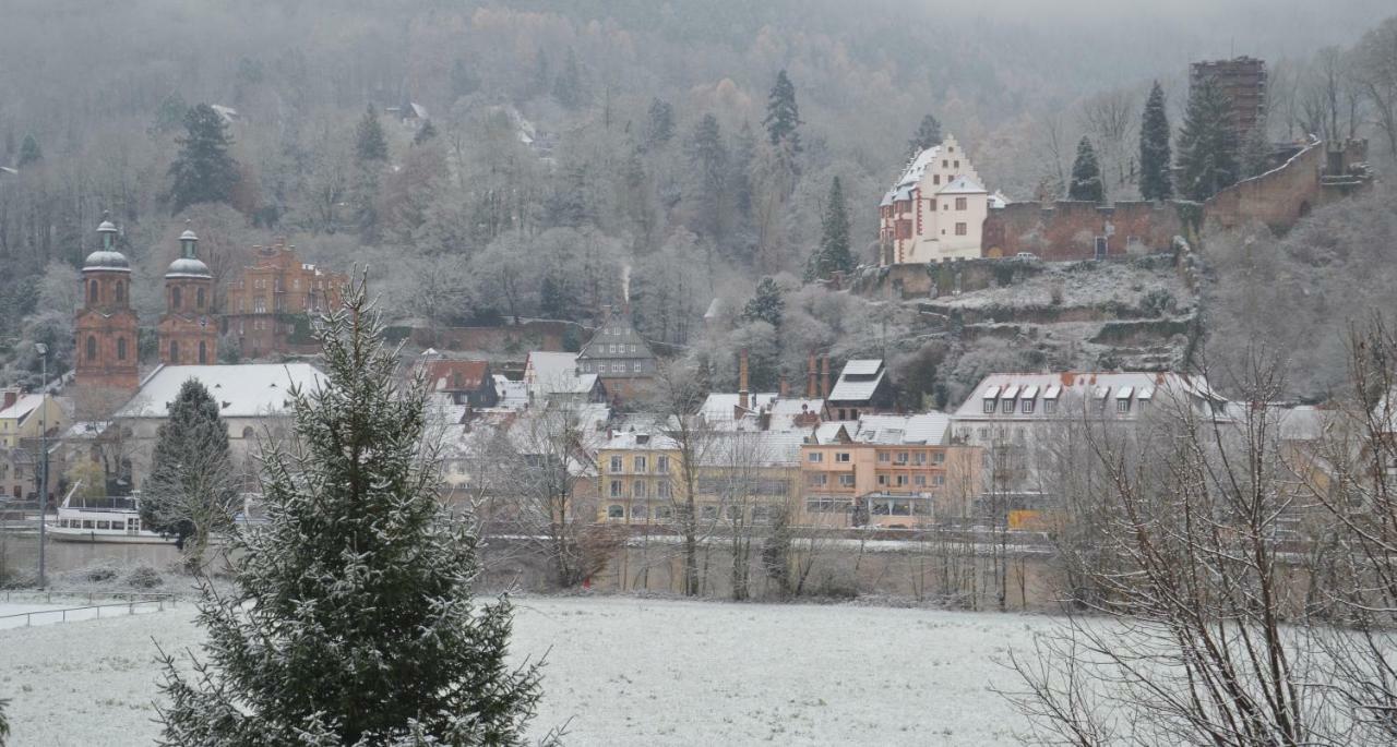 Panorama-Blick Miltenberg, 3 Pers., Zentr., Am Main, Terrasse, Bootverleih, P Eksteriør bilde