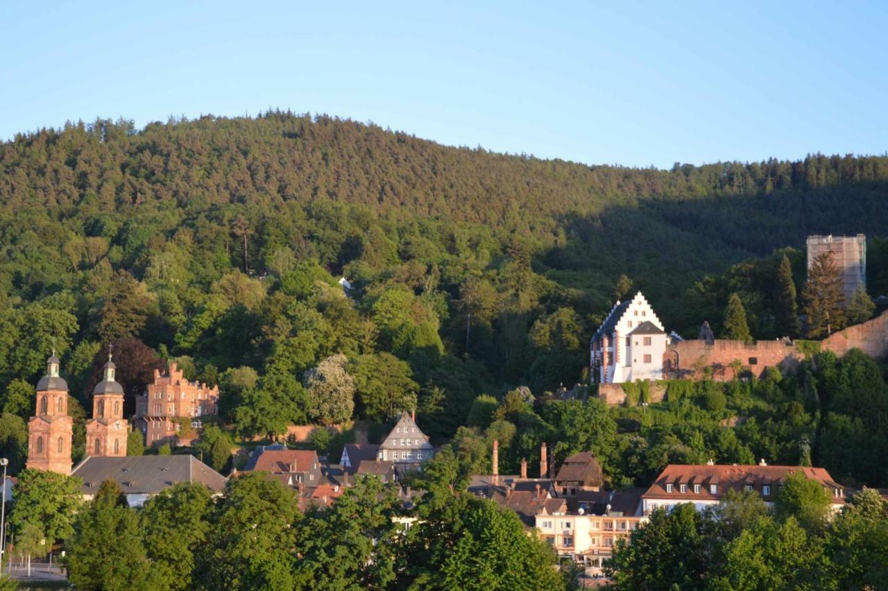 Panorama-Blick Miltenberg, 3 Pers., Zentr., Am Main, Terrasse, Bootverleih, P Eksteriør bilde