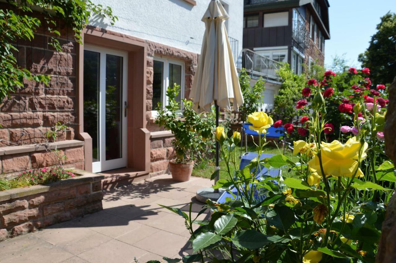 Panorama-Blick Miltenberg, 3 Pers., Zentr., Am Main, Terrasse, Bootverleih, P Eksteriør bilde